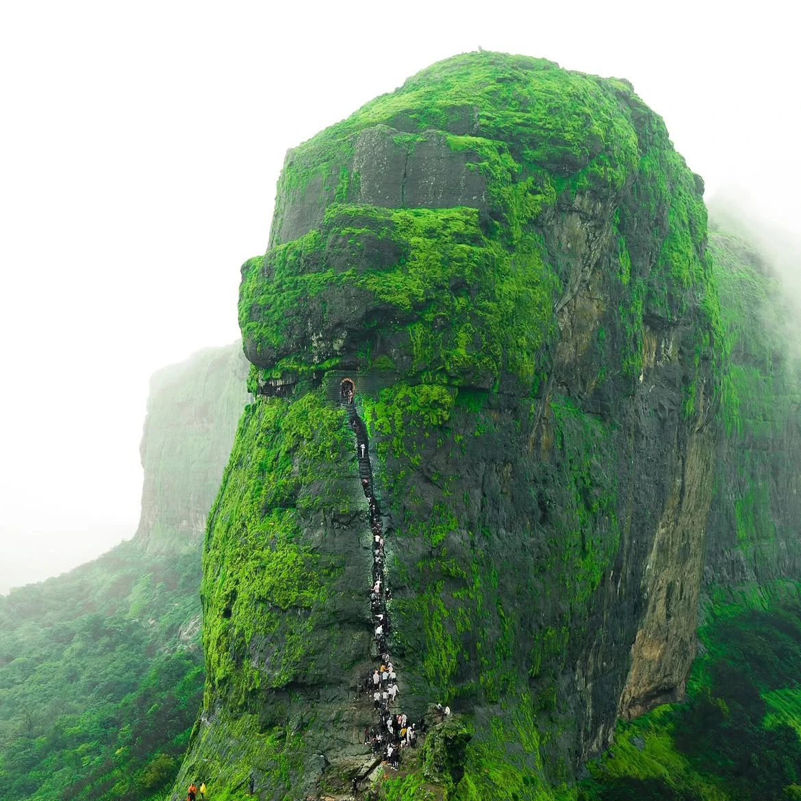 alt="धम्मगिरी